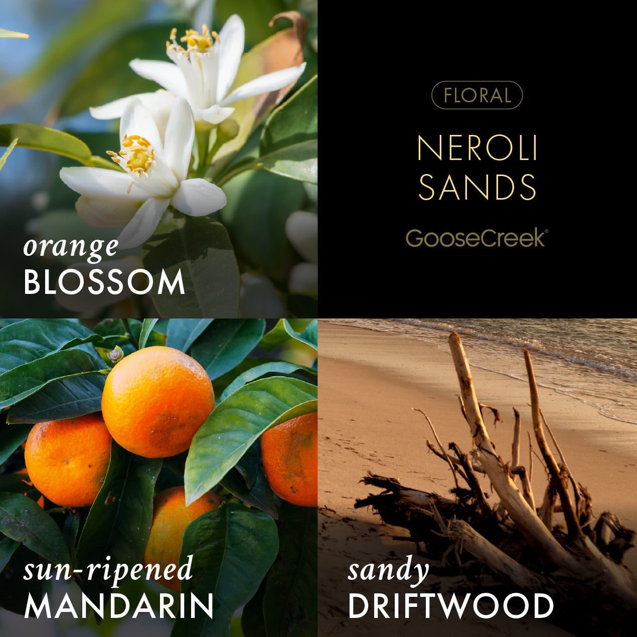 Neroli Sands- Fine Fragrance Body Mist