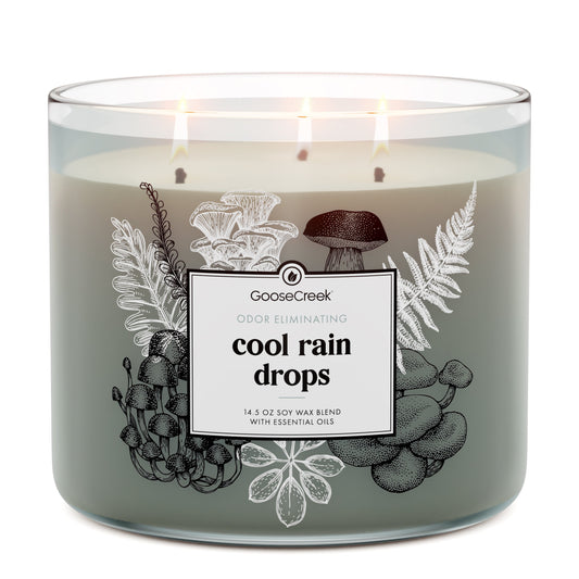 Cool Rain Drops Odor Eliminating 3-Wick Candle