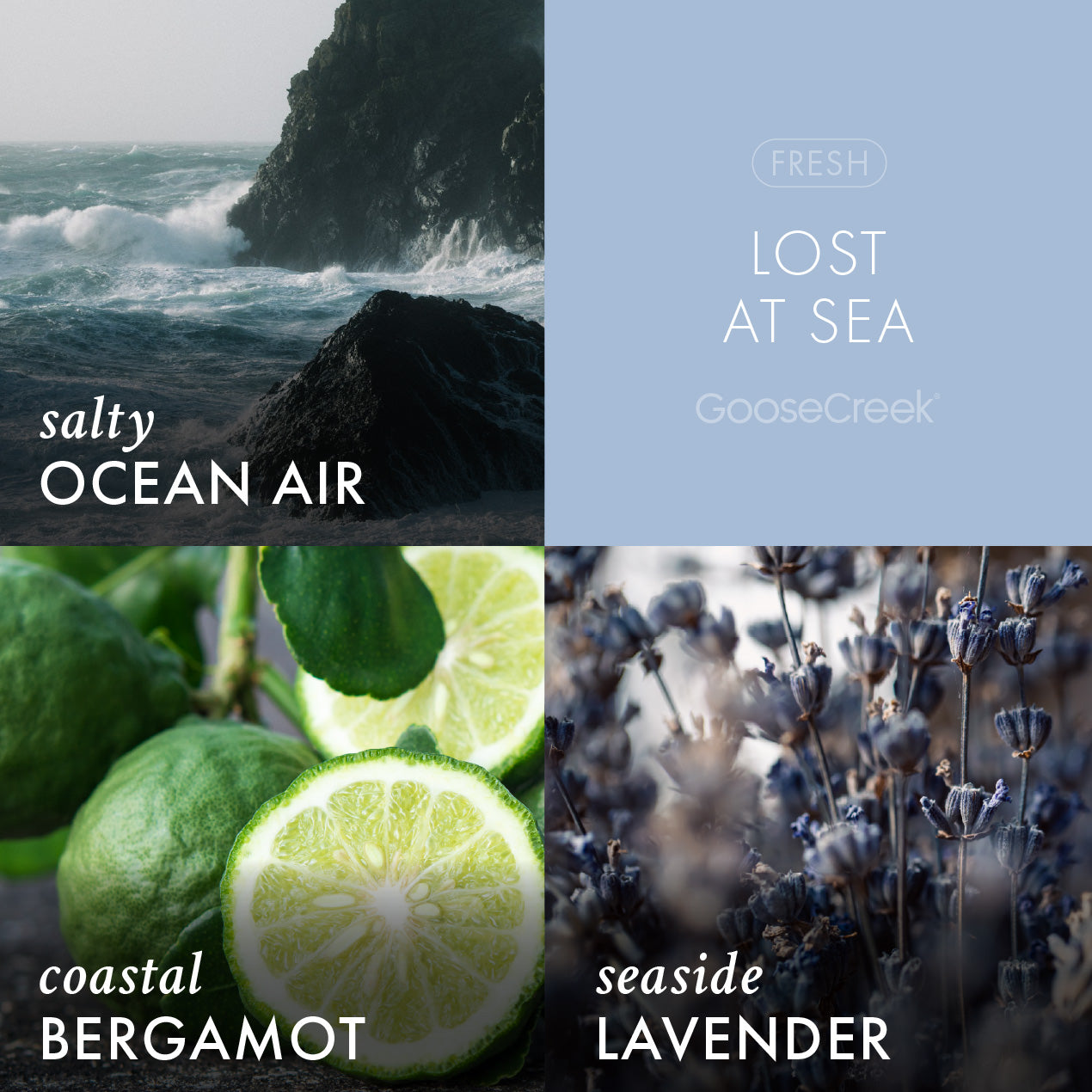 Lost at Sea Odor Eliminating 3-Wick Candle