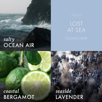 Lost at Sea Odor Eliminating Wax Melt