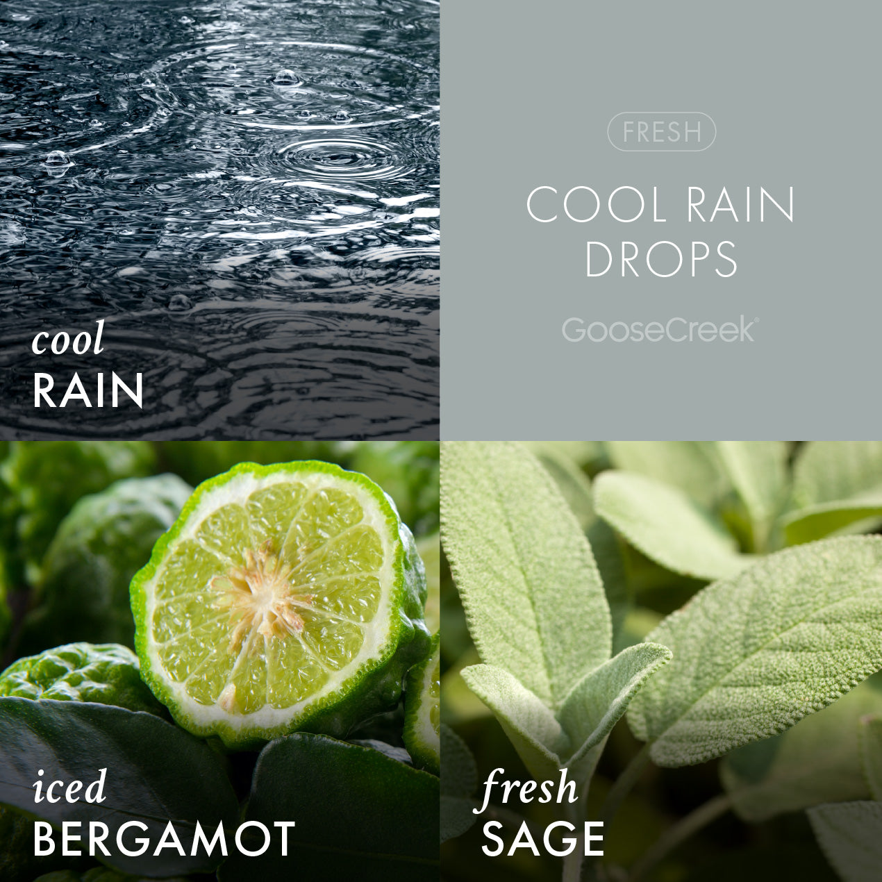 Odor Eliminating Cool Rain Drops Plug-in & Refill Bundle